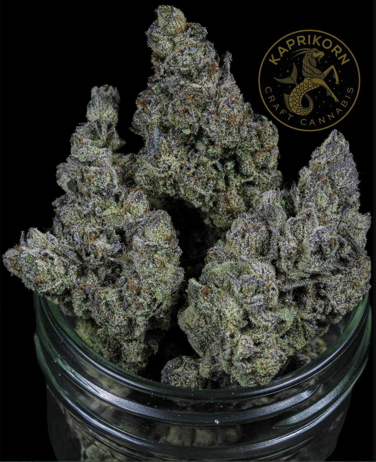 Kaprikorn - Chicken & Waffles | Kaprikorn | Flower | 3.5G - 1