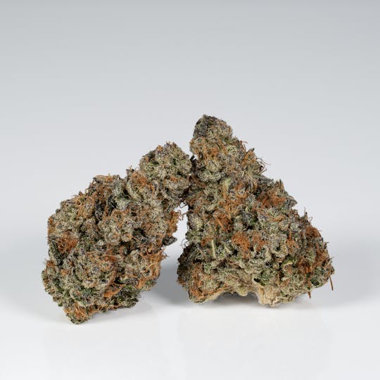 L.A. FAMILY FARMS - LEMON DRIP - 3.5g - 1