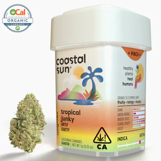 Coastal Sun - Tropical Junky Sungrown Flower 7g - 1