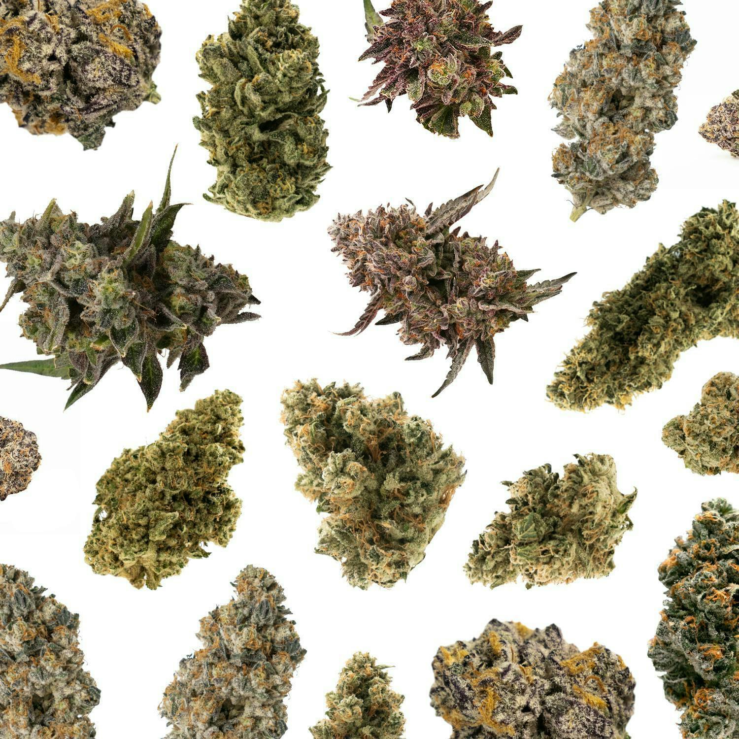 Pleasantrees - Smalls | Poison Berries | 1/4 Ounce - 1