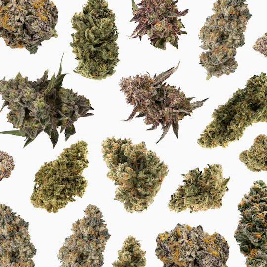 Pleasantrees - Smalls | Poison Berries | 1/4 Ounce - 1