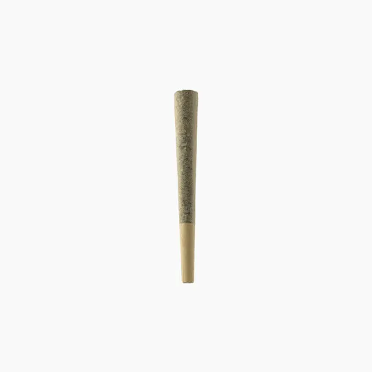 Pleasantrees - Preroll | Candied Jelly 1g - 1