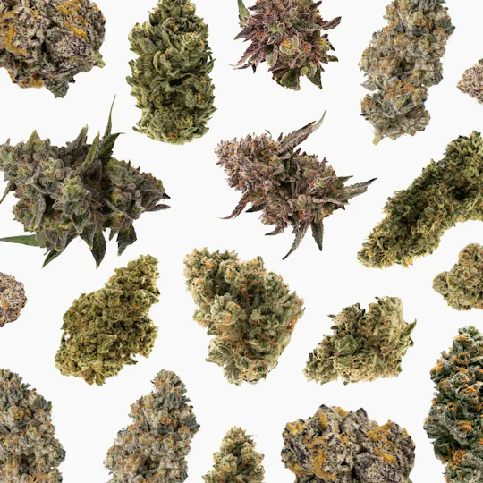 Pleasantrees - Smalls | Fruit Stand 14g - 1