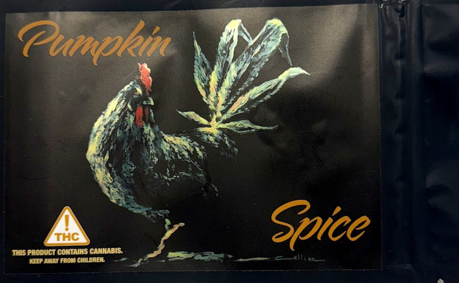 Green Rooster - Edibles – Chocolates – Pumpkin Spice – 100mg – 10pk - 1