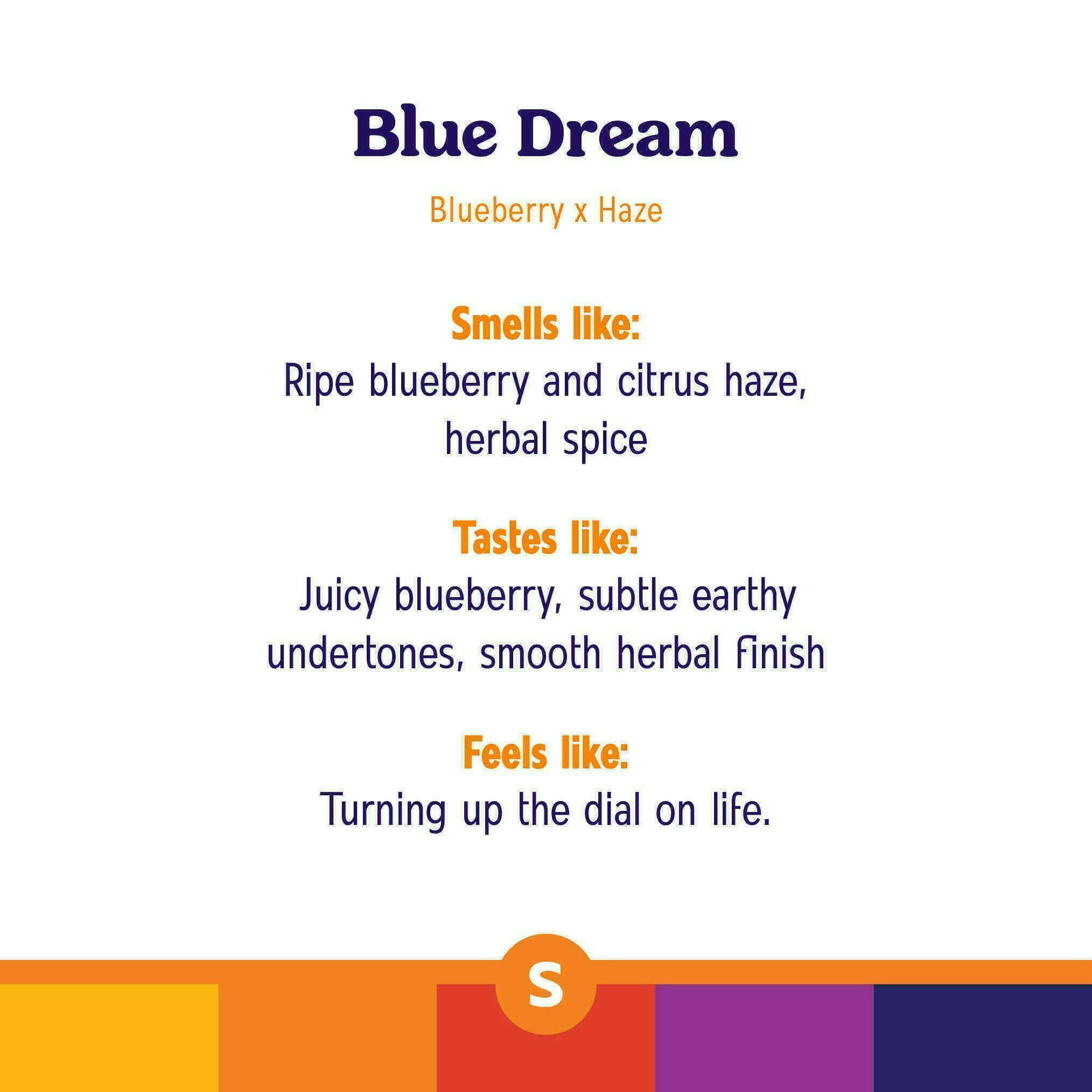 Roll One - Roll One | Blue Dream | Ground | 14g - 1