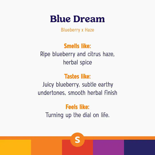 Roll One - Roll One | Blue Dream | Ground | 14g - 1