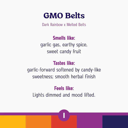 Roll One - Roll One | GMO Belts Whole | Big Buds | 14g - 1