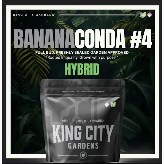 King City Gardens - King City Gardens | Silver | Bananaconda #4 - Flower Smalls 2.83g - 1
