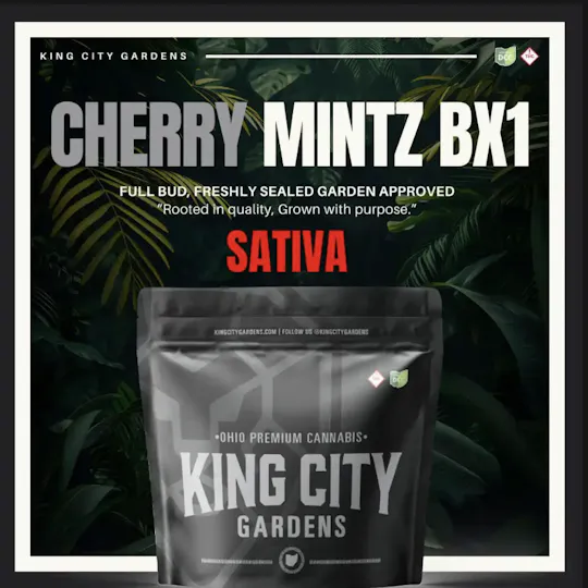 King City Gardens - King City Gardens | Silver | Cherry Mintz Bx1 - Flower Smalls 2.83g - 1