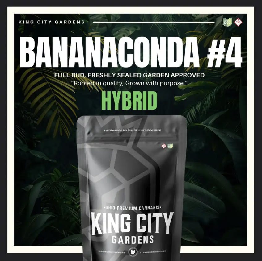King City Gardens - King City Gardens | Premium Flower | Bananaconda #4 - 14.15g - 1