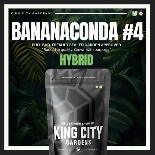 King City Gardens - King City Gardens | Premium Flower | Bananaconda #4 - 14.15g - 1