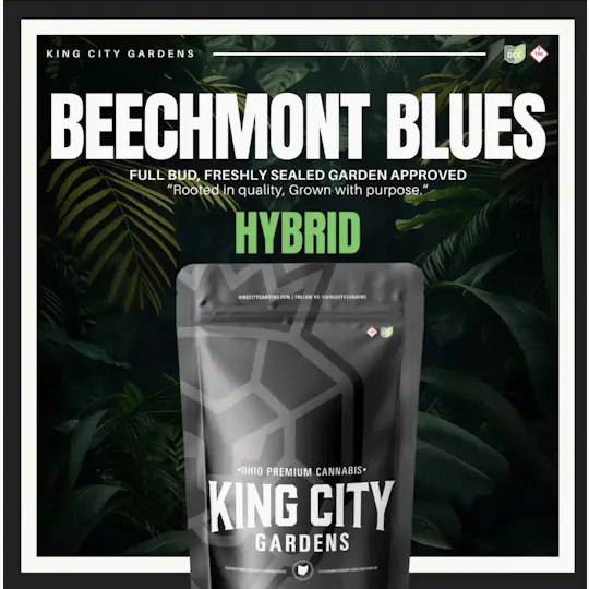 King City Gardens - King City Gardens | Premium Flower | Beechmont Blues - 14.15g - 1
