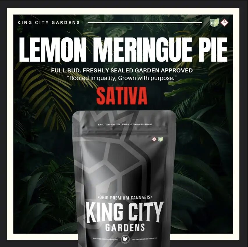 King City Gardens - King City Gardens | Premium Flower | Lemon Meringue Pie - 14.15g - 1