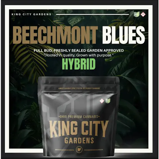 King City Gardens - King City Gardens | Gold | Beechmont Blues - Flower 2.83g - 1