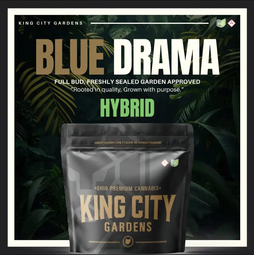 King City Gardens - King City Gardens | Gold | Blue Drama - Flower 2.83g - 1