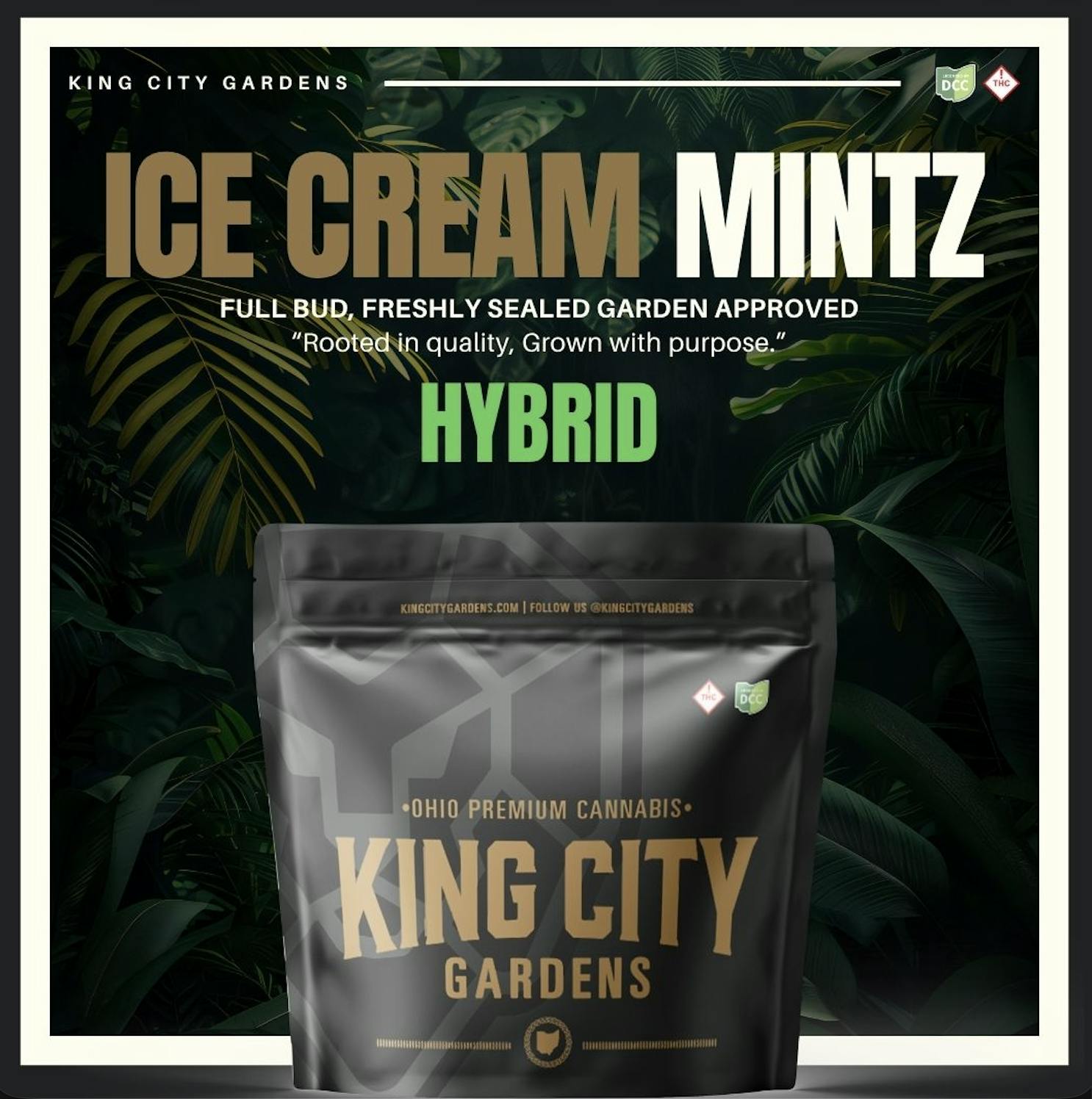 King City Gardens - King City Gardens | Gold | Ice Cream Mintz - Flower 2.83g - 1