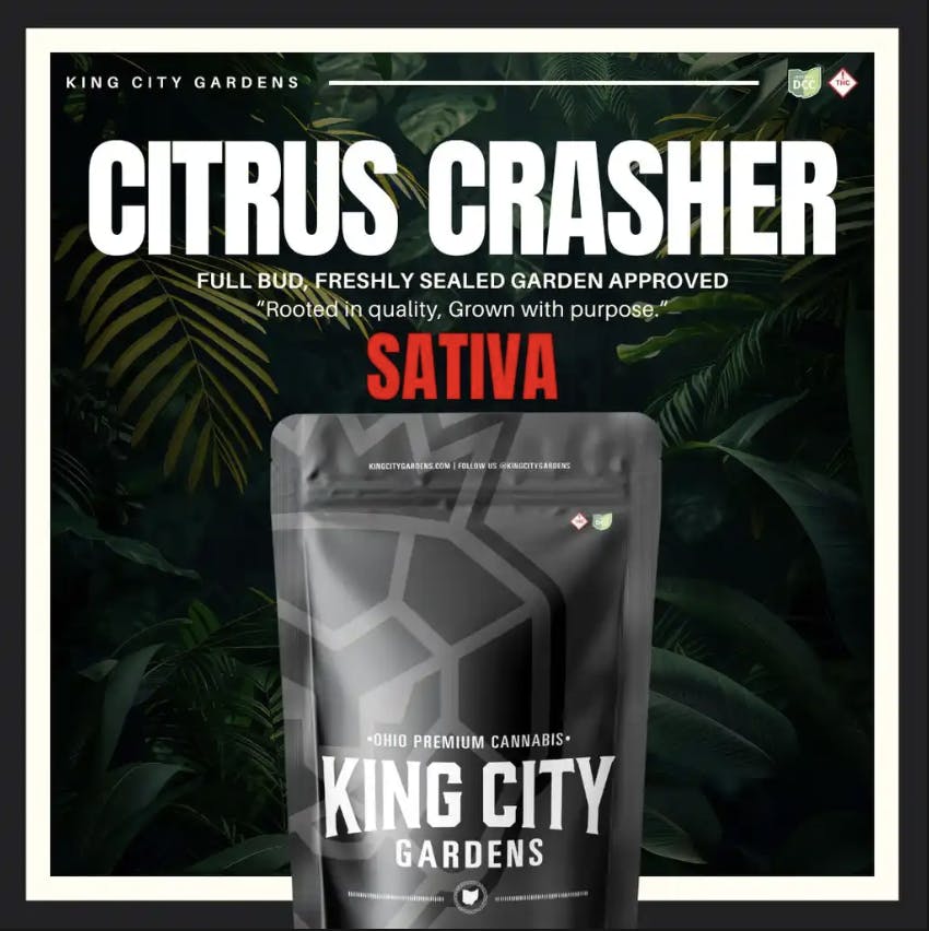 King City Gardens - King City Gardens | Premium Flower | Citrus Crasher - 14.15g - 1