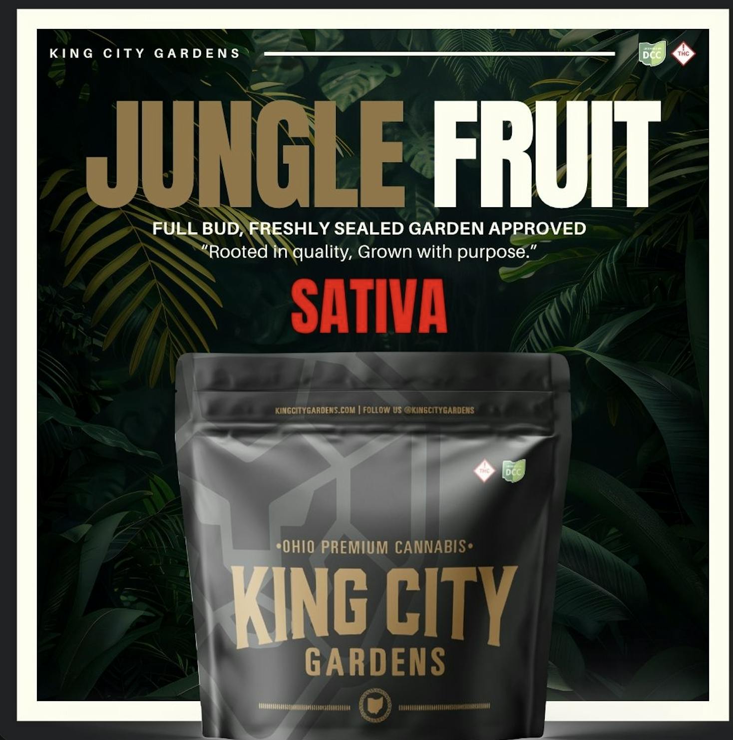 King City Gardens - King City Gardens | Gold | Jungle Fruit - Flower 2.83g - 1