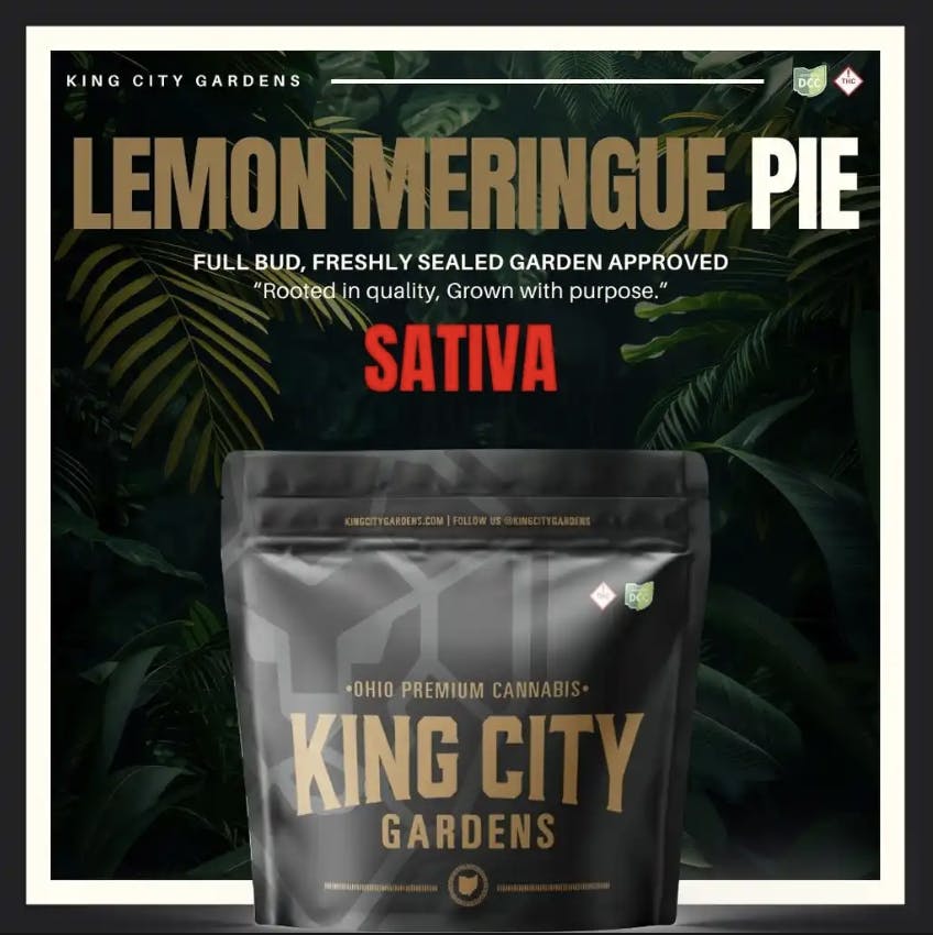 King City Gardens - King City Gardens | Gold | Lemon Meringue Pie - Flower 2.83g - 1