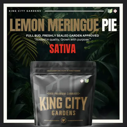 King City Gardens - King City Gardens | Gold | Lemon Meringue Pie - Flower 2.83g - 1