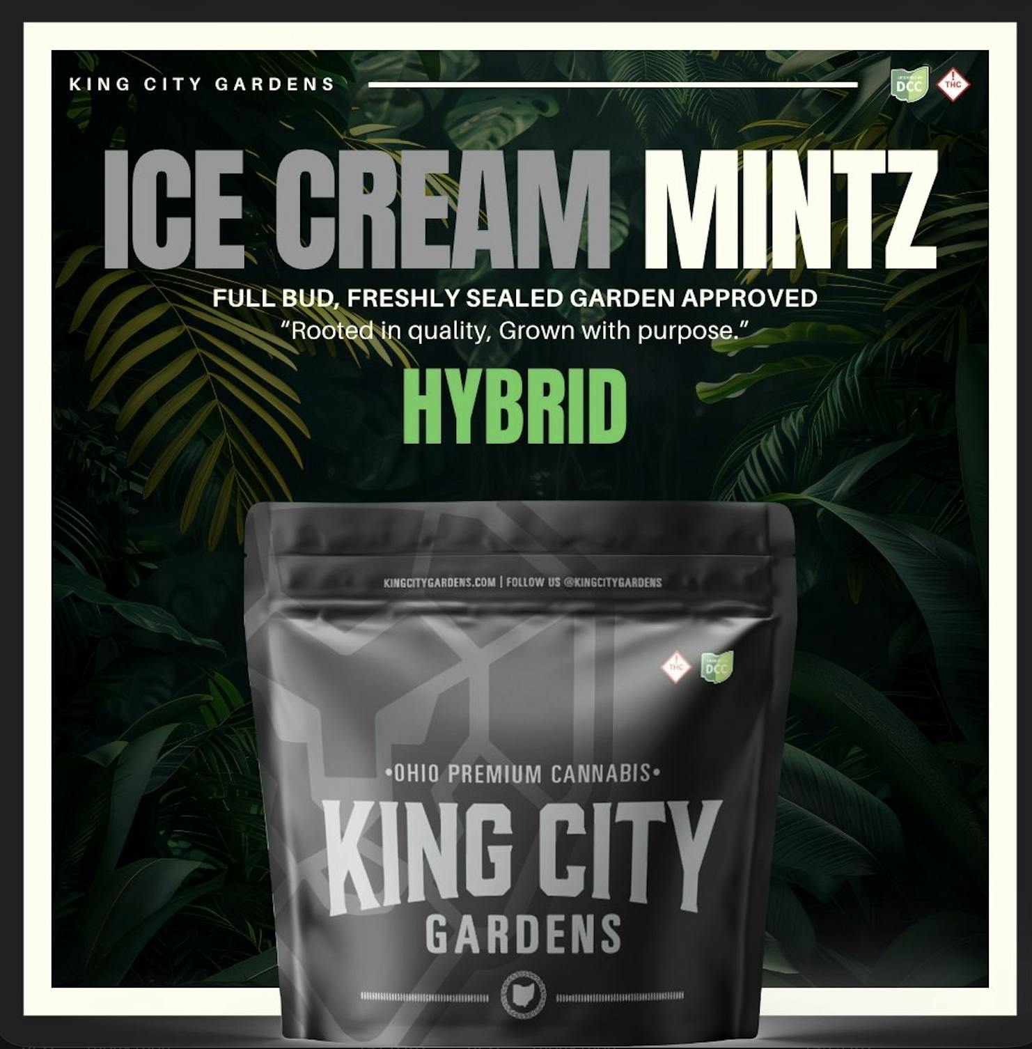 King City Gardens - King City Gardens | Silver | Ice Cream Mintz - Flower Smalls 2.83g - 1