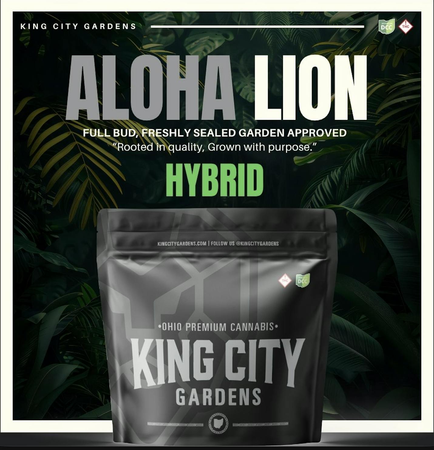King City Gardens - King City Gardens | Silver | Aloha Lion Flower - Flower Smalls 2.83g - 1