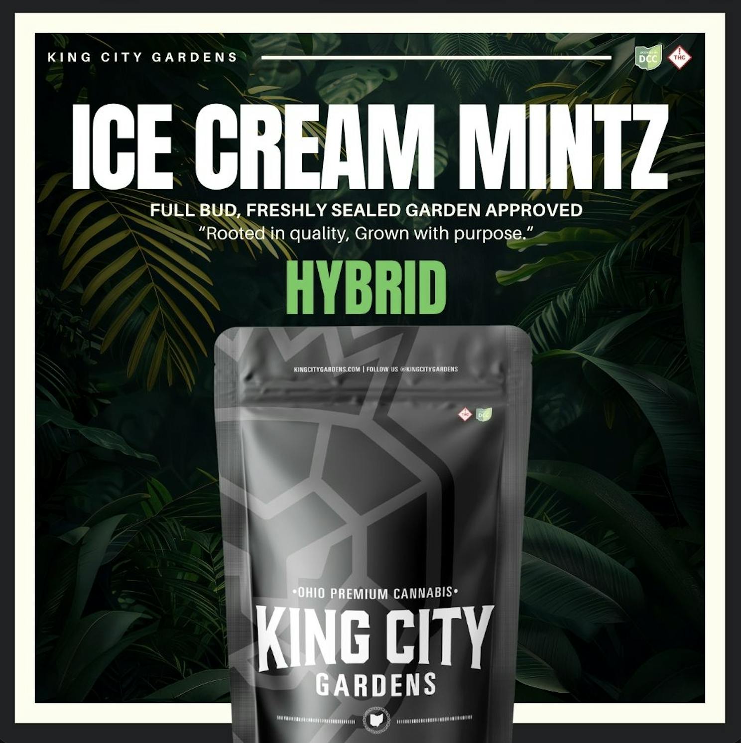King City Gardens - King City Gardens | Premium Flower | Ice Cream Mintz - 14.15g - 1