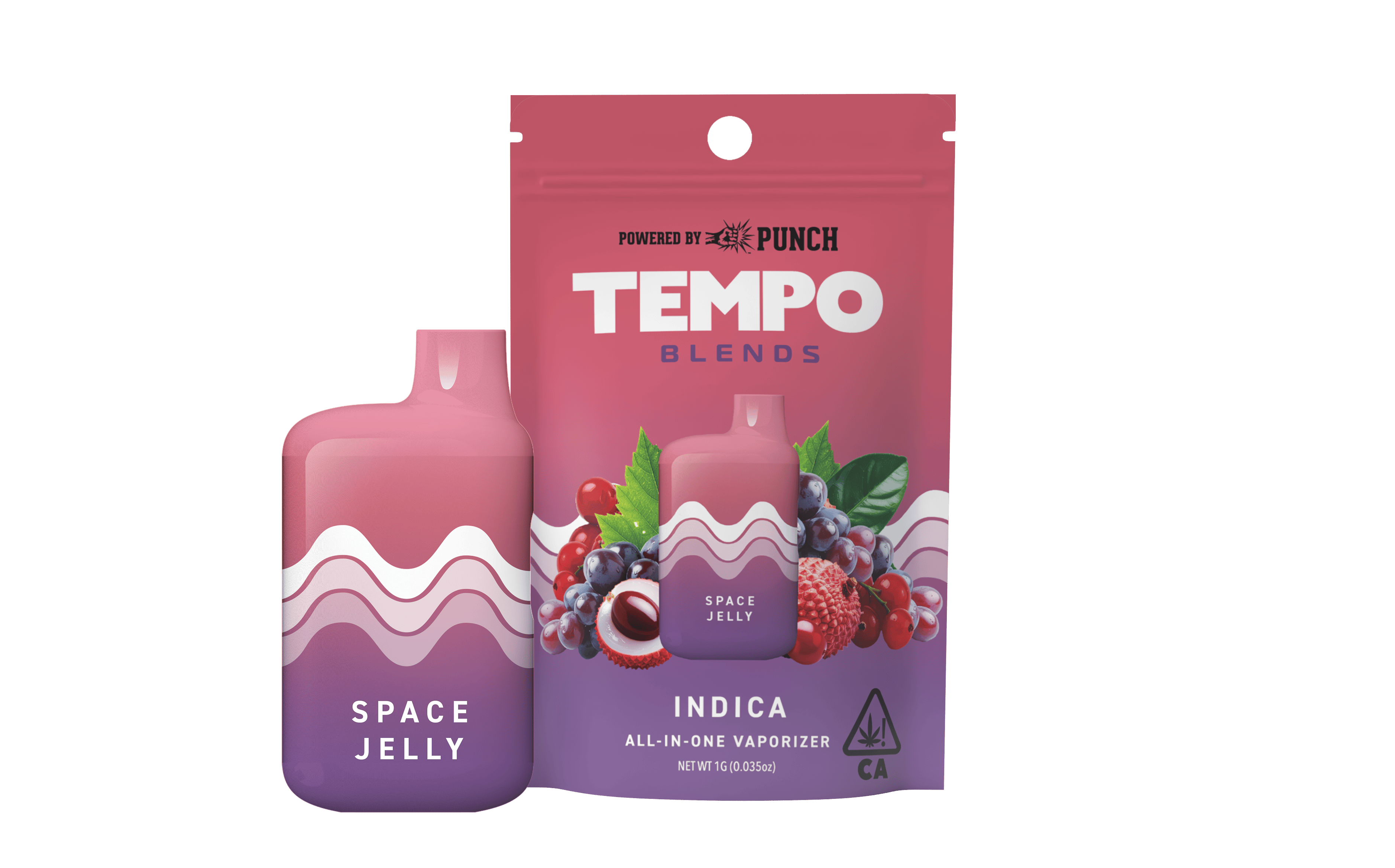 Tempo - Tempo | Blends | Space Jelly | AIO Disposable | 1g - 1
