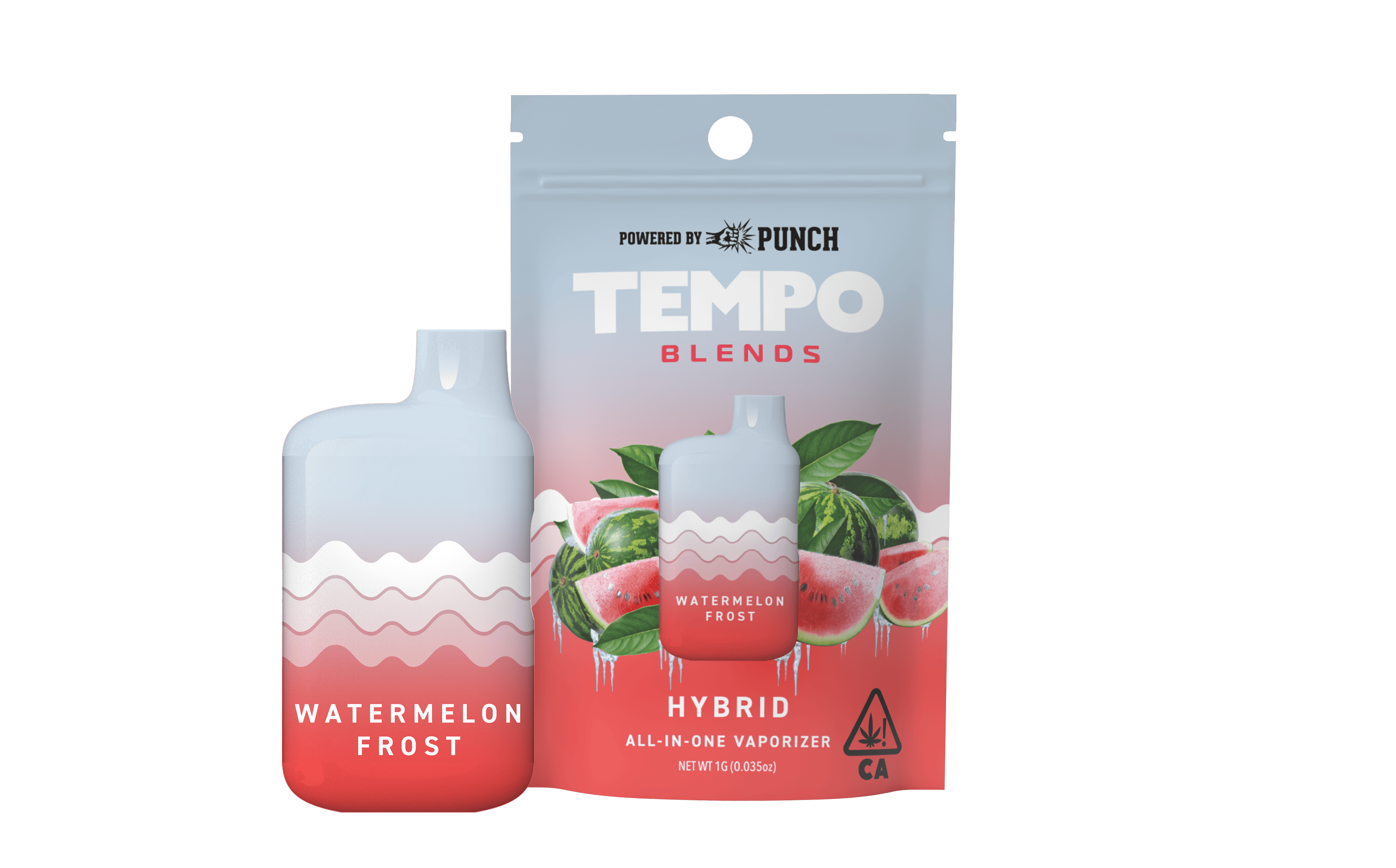 Tempo - Tempo | Blends | Watermelon Frost | AIO Disposable | 1g - 1
