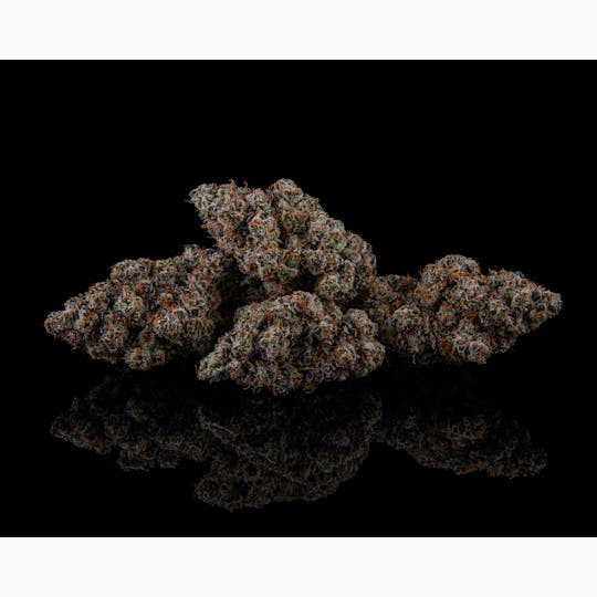 Zenoa - Apple Strudel - 1