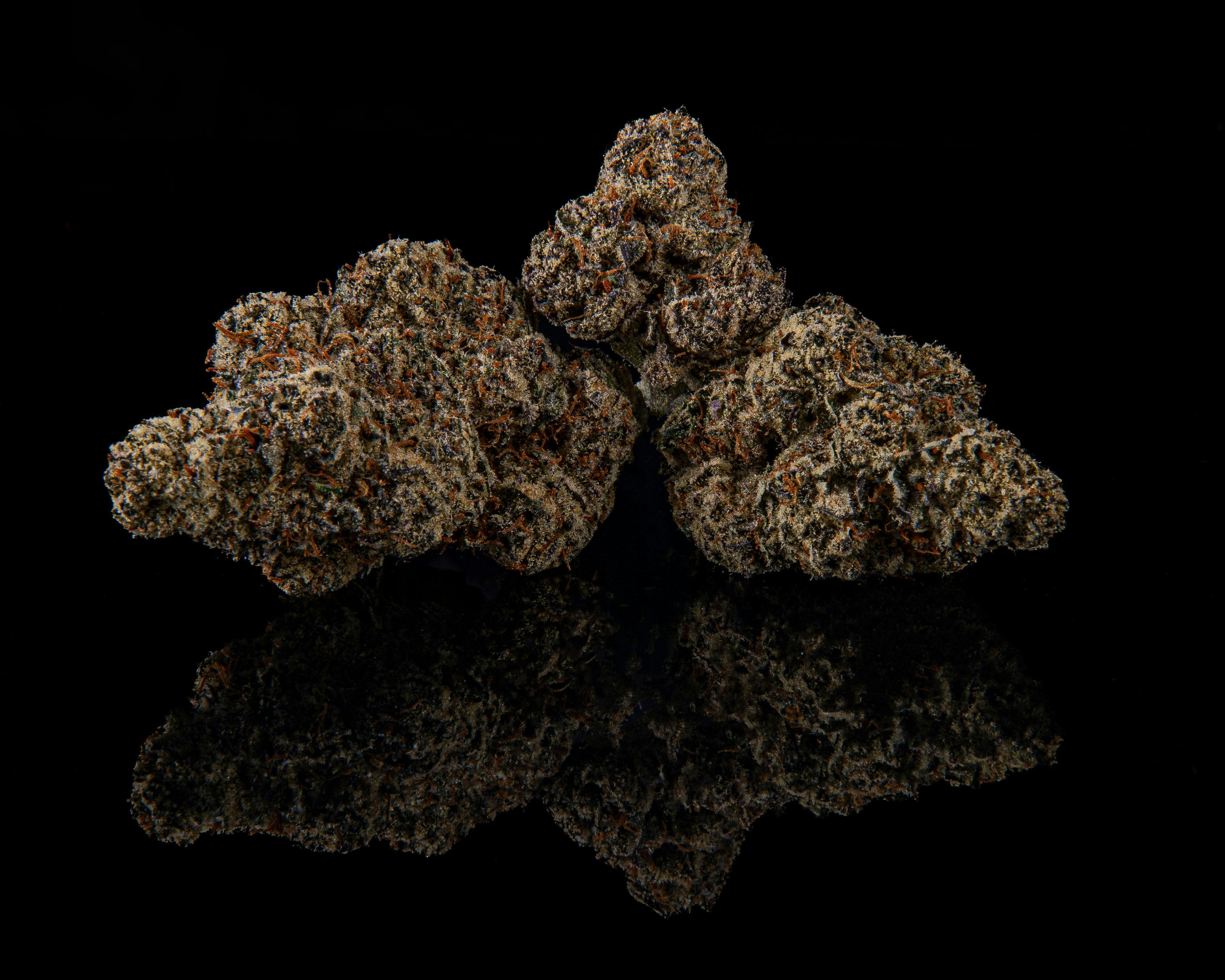 Zenoa - Drip Station - 1