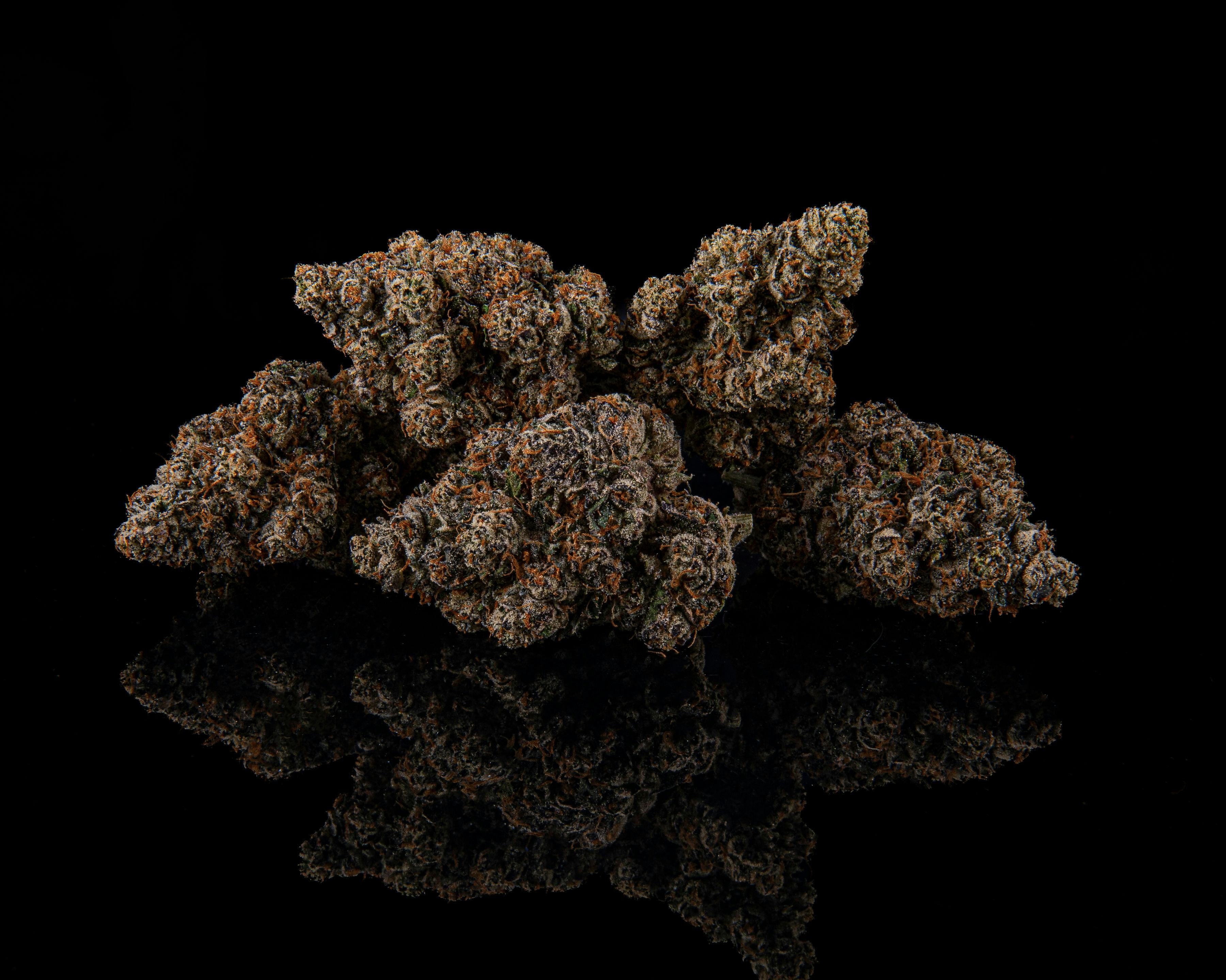 Zenoa - Sherb Cream Pie - 1