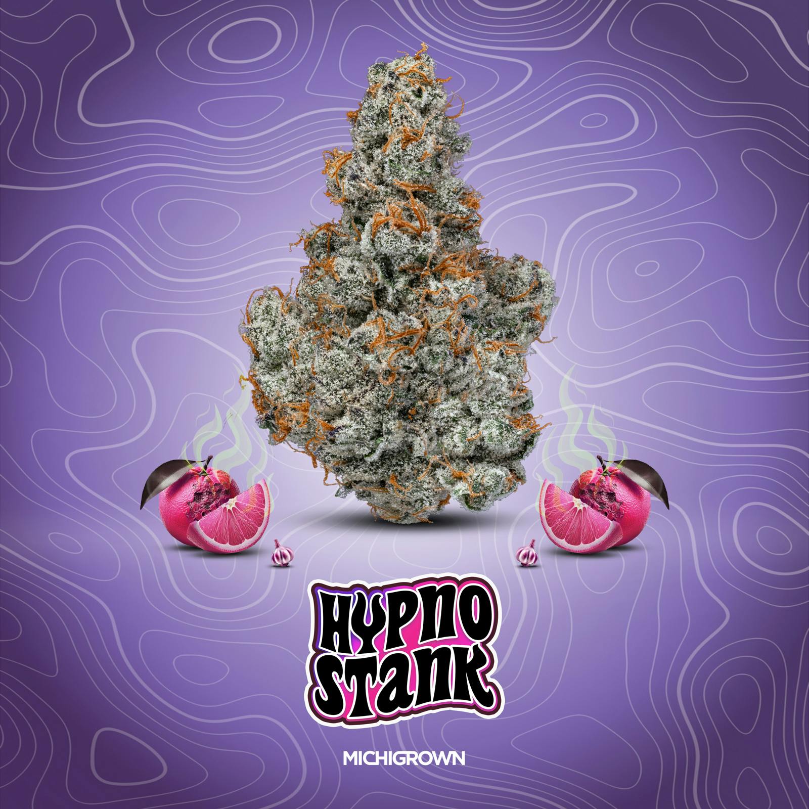 MICHIGROWN - HYPNO STANK - 3.5 GRAMS - PREMIUM FLOWER - JARS - 1