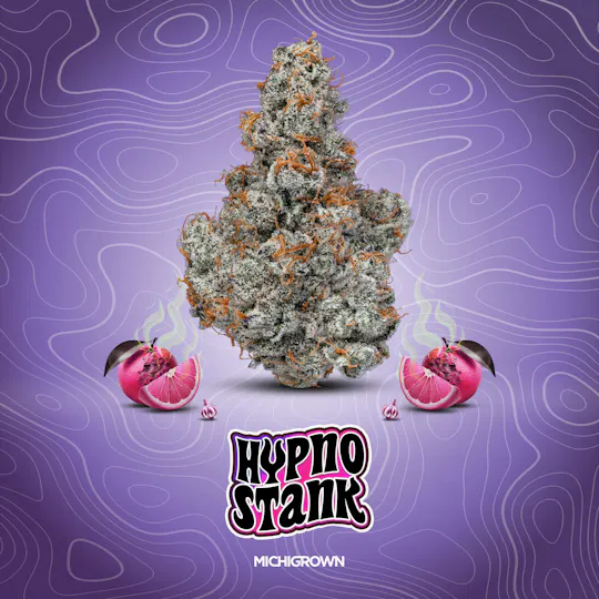 MICHIGROWN - HYPNO STANK - 3.5 GRAMS - PREMIUM FLOWER - JARS - 1