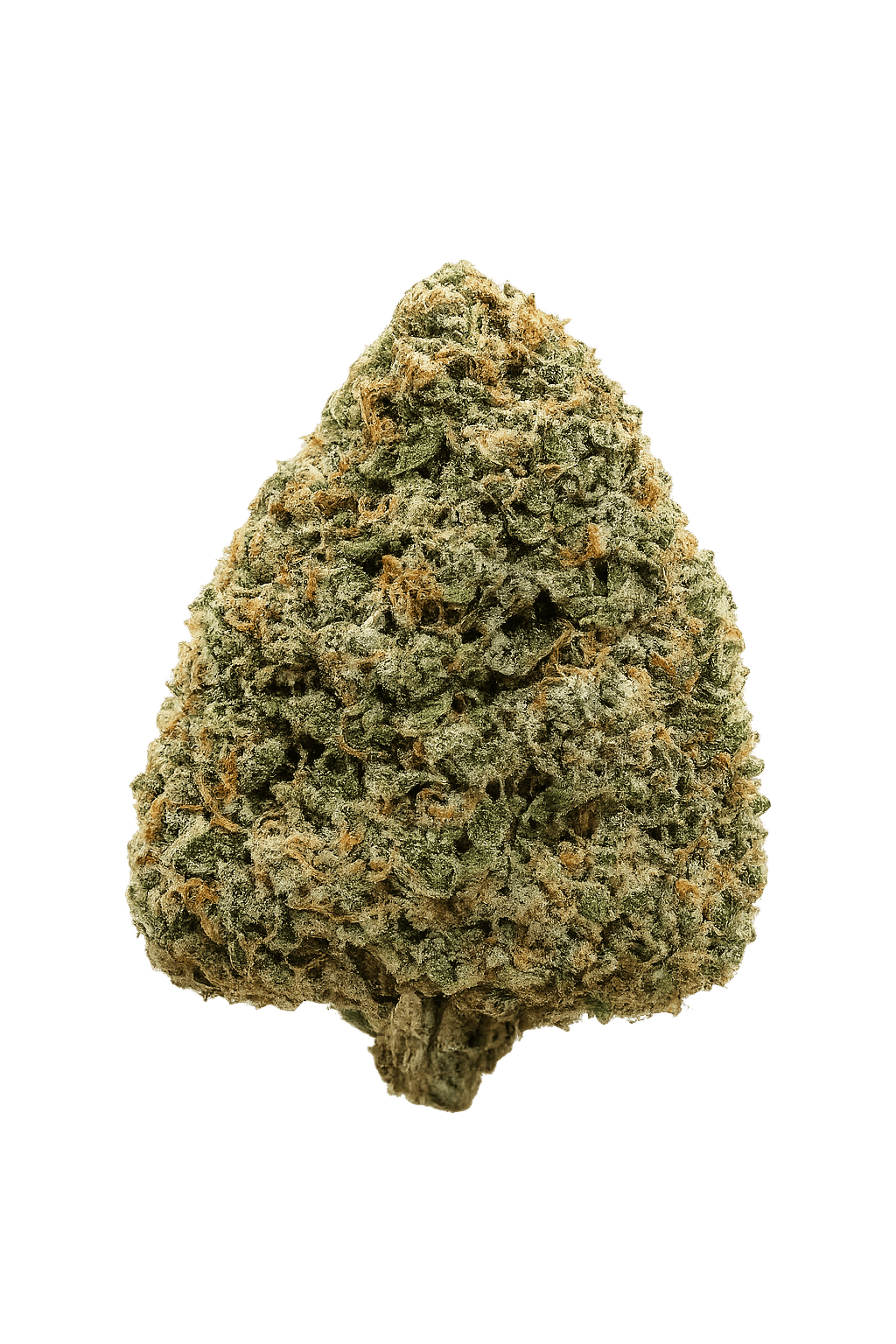 Magic Brothers - Jelly Donuts - Premium Flower - 1oz. 28g. - 1