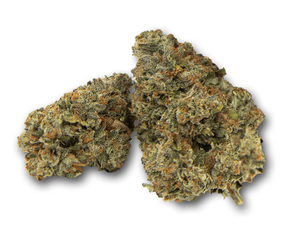 Life Is Not Grape - 99z | Big Buds | 3.5g - 1