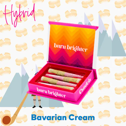 Candela - Candela "Bavarian Cream" Double Glazed Donut Minis - 1