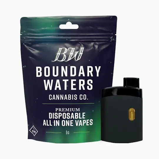 Boundary Waters - Mojito Madness | Disposable | 1g - 1
