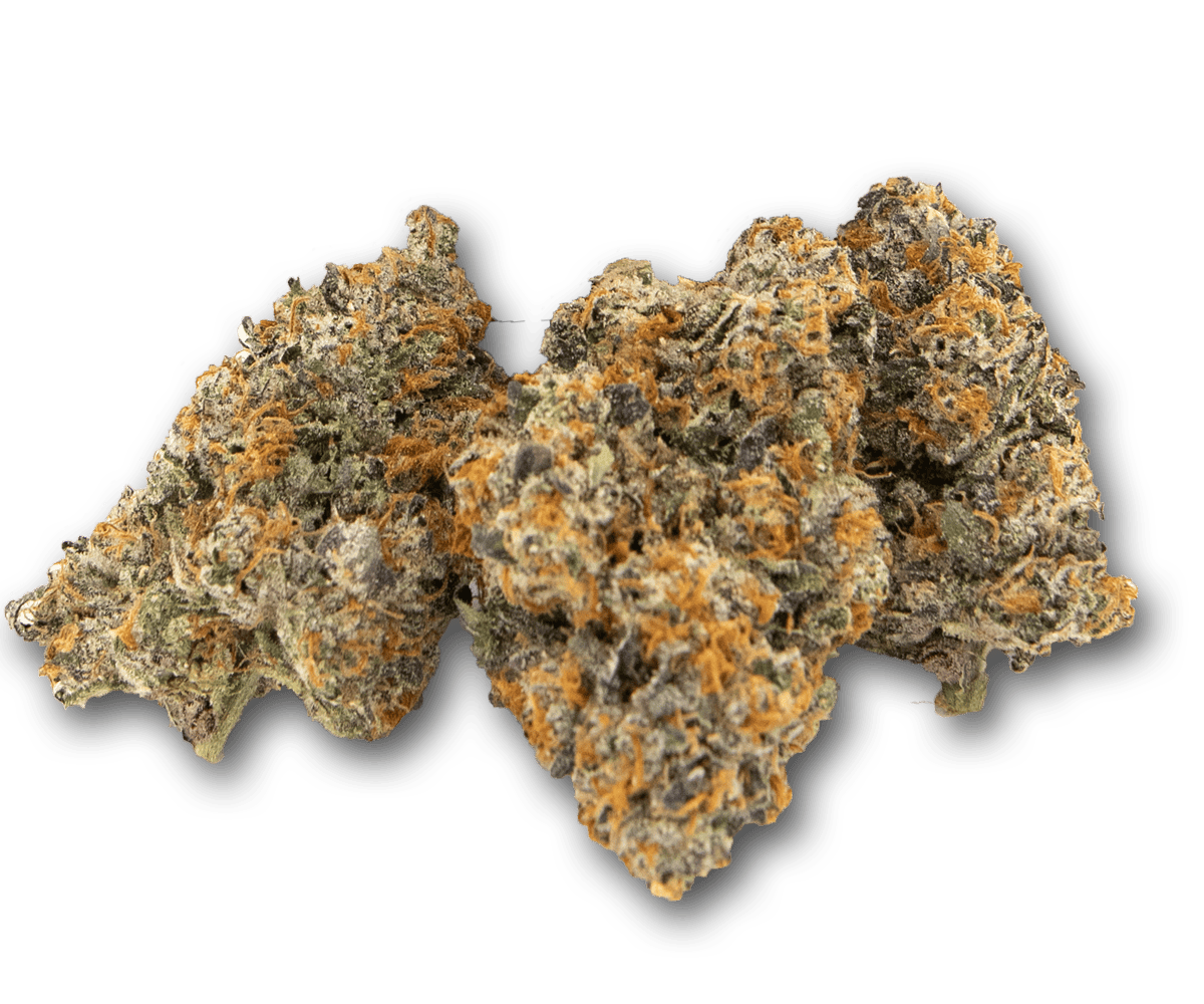 Life Is Not Grape - BBL - 1