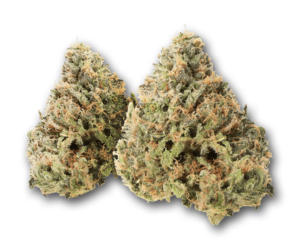 Life Is Not Grape - Lamez | Big Buds | 3.5g - 1