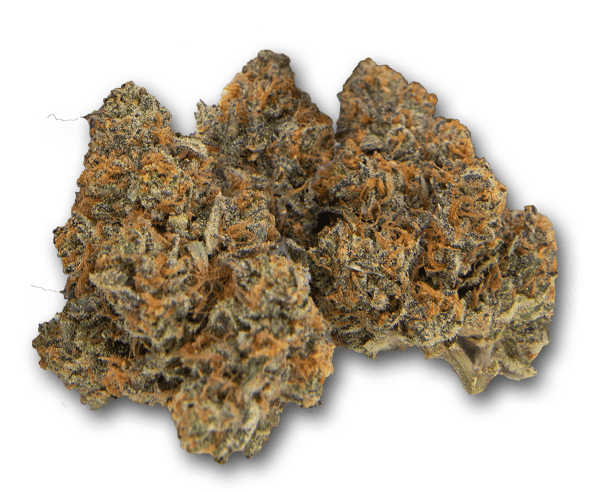 Life Is Not Grape - Boy Who Cried Wolf - 1