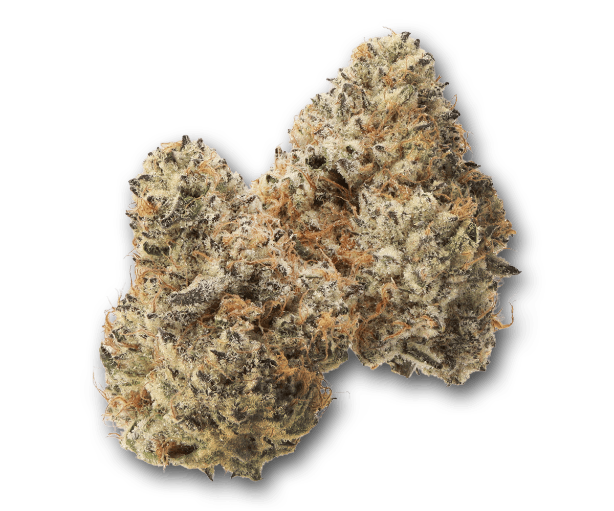 Life Is Not Grape - The Grape Depression - 1