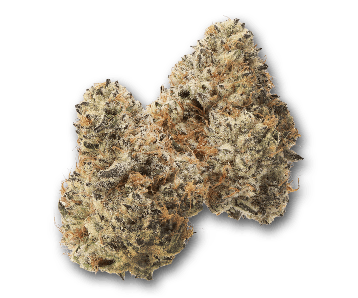 Life Is Not Grape - The Grape Depression | Big Buds | 3.5g - 1