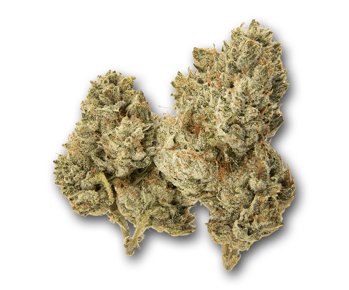 Life Is Not Grape - Ugh G - 1