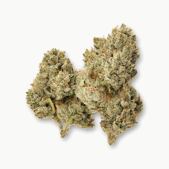 Life Is Not Grape - Ugh G - 1