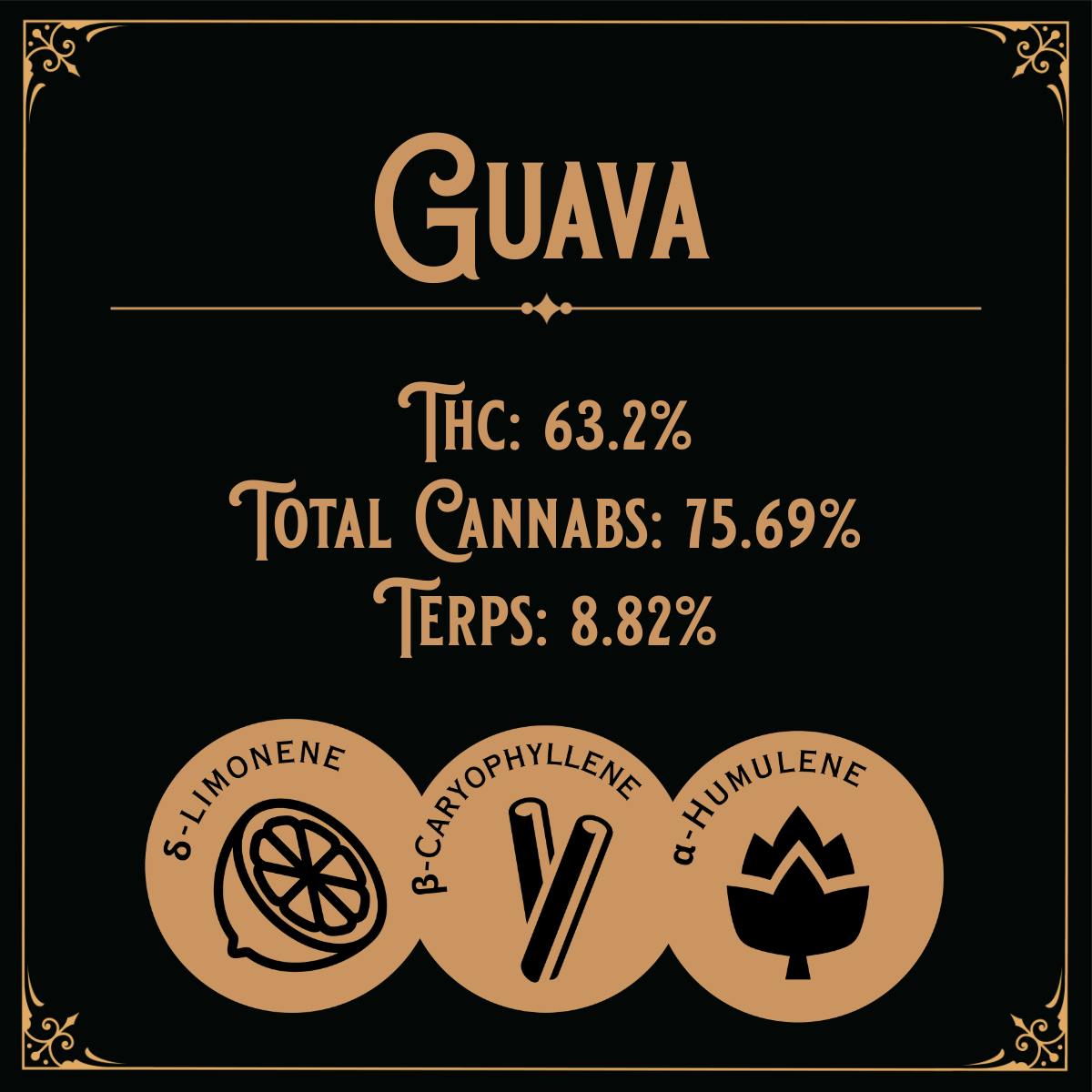 Old School Hash Co. - Old School Hash: Guava - 10g Brick Hash - 1