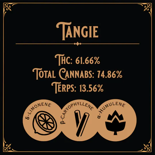 Old School Hash Co. - Old School Hash: Tangie - 1g Temple Ball - 1