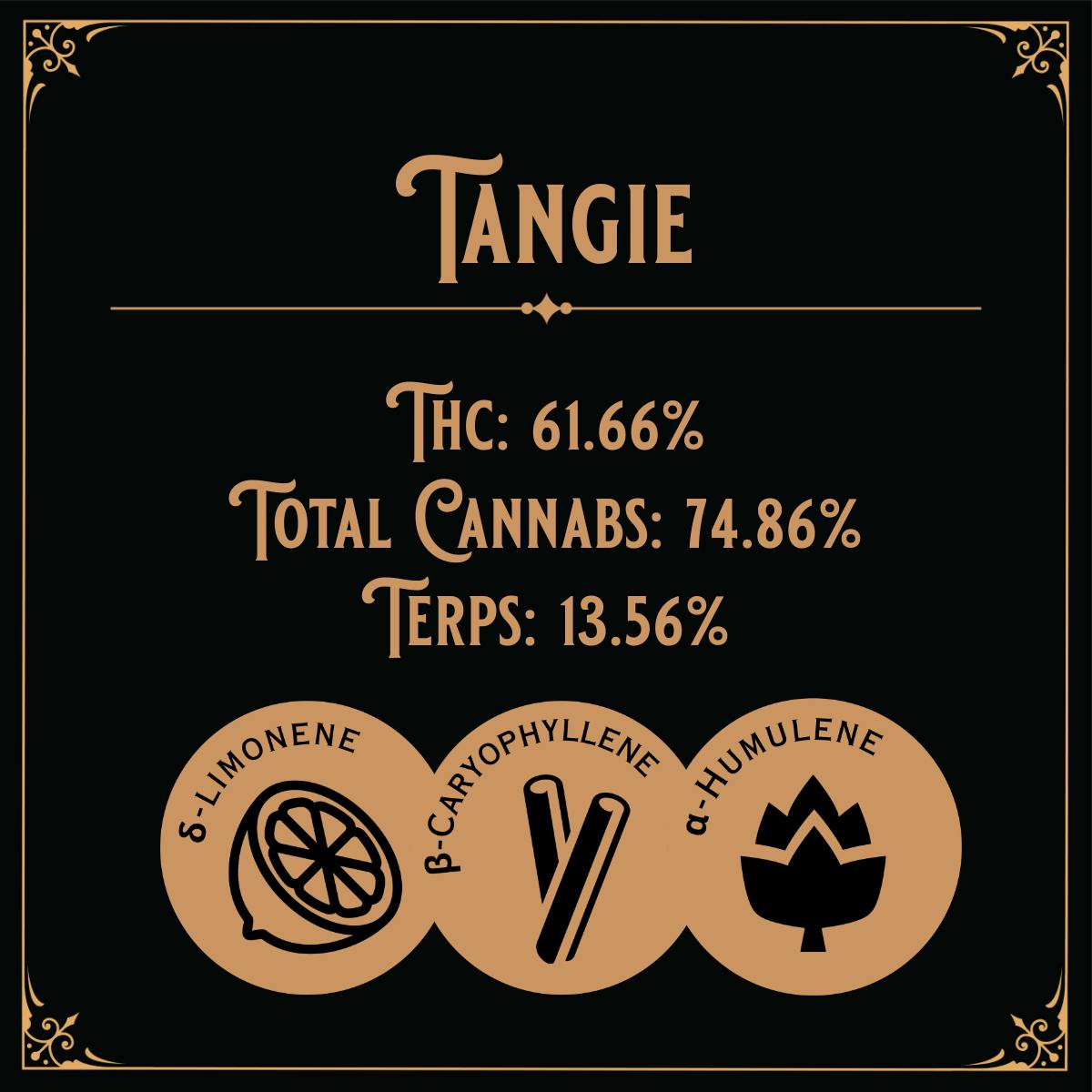 Old School Hash Co. - Old School Hash: Tangie - 2g Temple Ball - 1