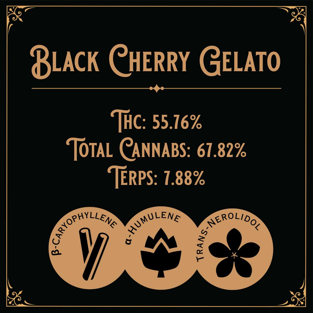 Old School Hash Co. - Old School Hash: Headband - 2g Temple Ball - 1