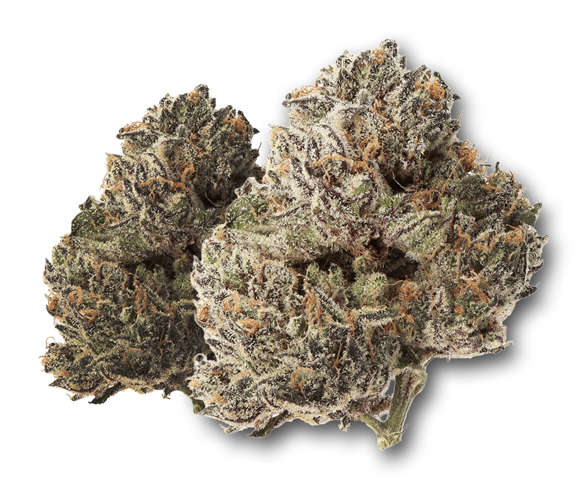 Life Is Not Grape - Dark Tears - 1